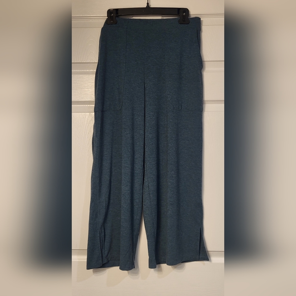 Women's LOGO Blue Pull On Pants Size Medium